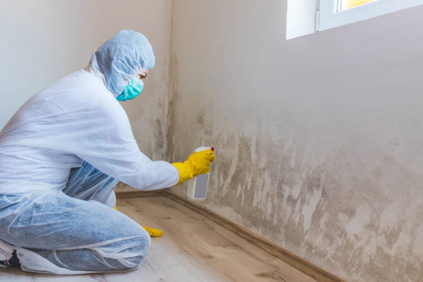 Bathroom Mold Removal assessment in Edgewater bathroom